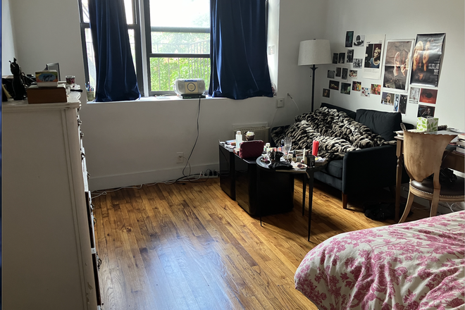 Bedroom/living room - Beautiful East Village Studio Apartment for July 1-August 25 Sublet