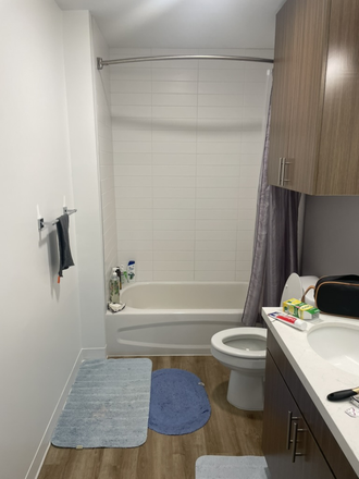 Personal bathroom attached to room - Life Tower Summer Sublet, Affordable and close to campus Apartments