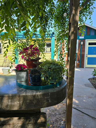 Exterior - Quiet ADU, walk to Chapman Apartments