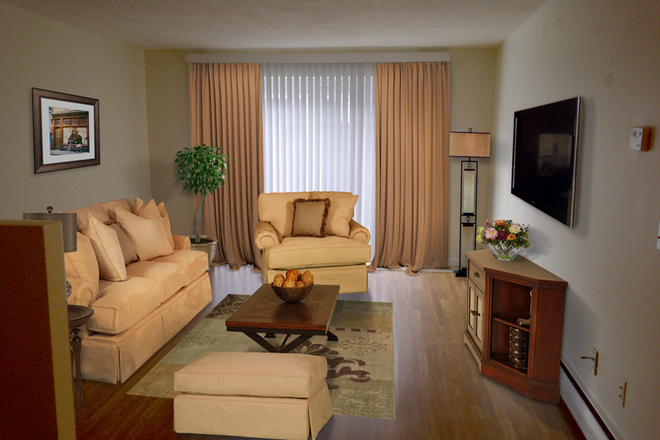 living room - Coolidge Corner 2 bed with updated kitchen Apartments