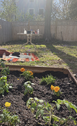 Backyard - Private suite in a shared home-Linden Ln-Princeton