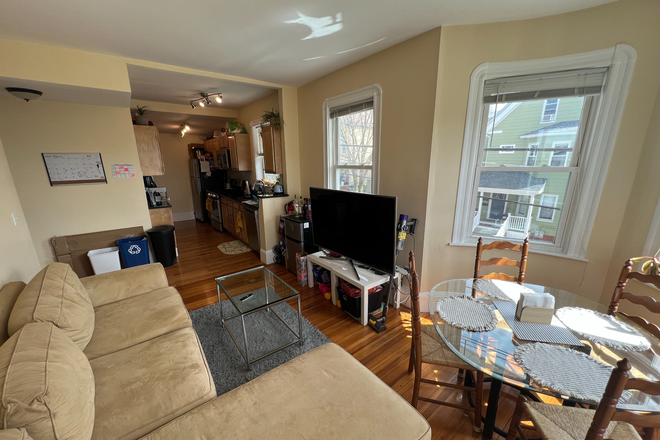 Living room - **NO BROKERS FEE!!** Sun-Drenched 4 Bed/1.5 Bath w/ LAUNDRY IN UNIT! Avail 9/1/26!! Apartments