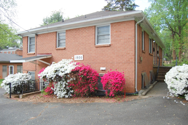 Street view - 1 Bedroom Apartment - $936/mo - walking distance to Corner, Darden School, Law School(Spring Sublet