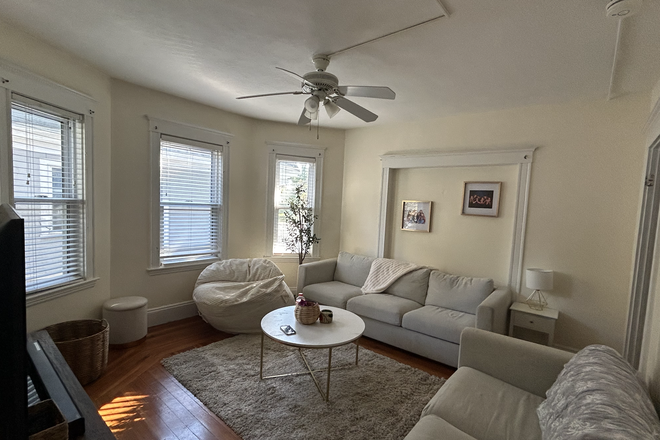 Living Room - Large room in updated house right off campus