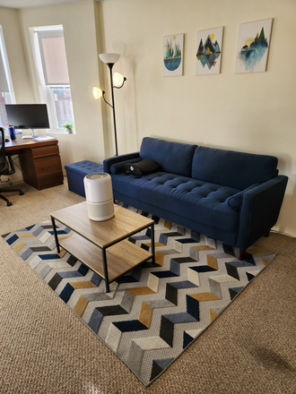 living - SPACIOUS 1 BED CLOSE TO CAMPUS!!! Apartments