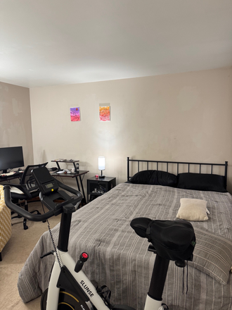 Bedroom - Furnished 1 bedroom for Summer Sublet, close to Davis Square & Tufts Condo