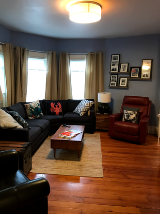 Living room - Davis Sq Bright 2 Bedroom Apartments