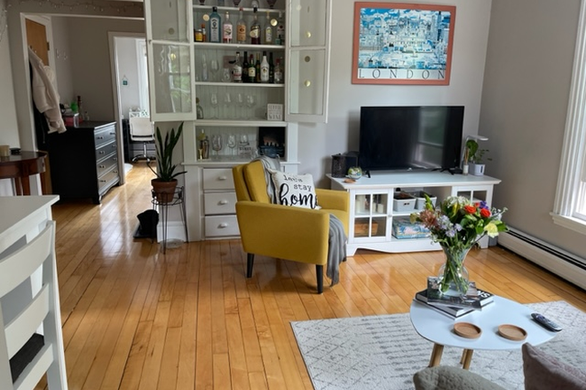 bed - great location! cozy, sunny, renovated, harvard design, redline, Apartments