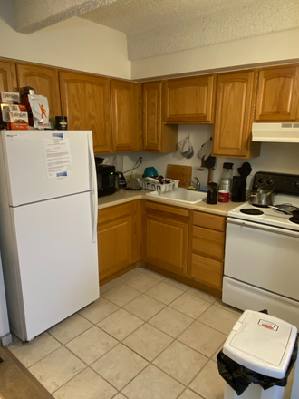 Kitchen - Close to buses towards campus, and to the airport, quiet area Apartments