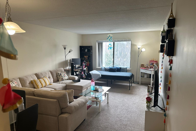 living room - 1B1B Apartment available for a girl