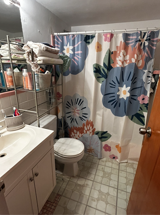 Bathroom - Apartment off Allston Street, about 2 miles from BC's campus
