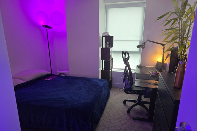 Private Room - Room Available in 3 Bed/2 Bath Luxury Apartment Penthouse
