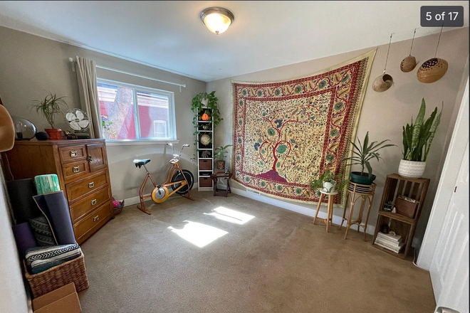 Bedroom for rent (photo from previous tenant) - Room for rent in spacious 2-bed, 1-bath apartment near the U