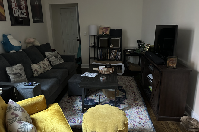 Living Room - Washington Heights Roommate Search (2) Apartments