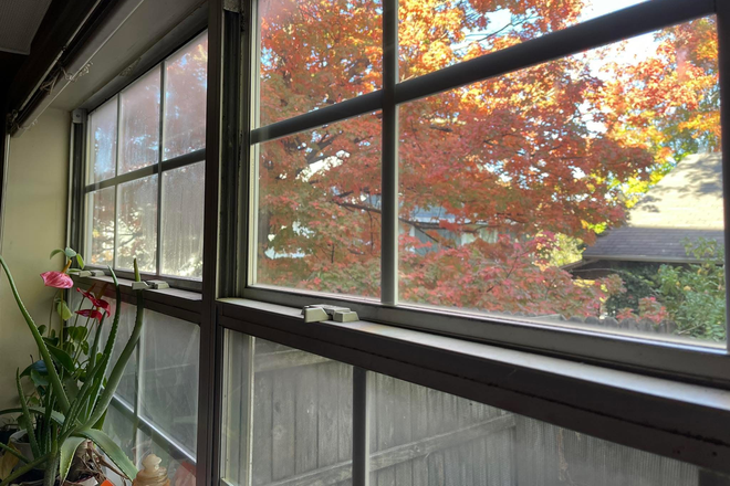 Kitchen view fall - NWA properties