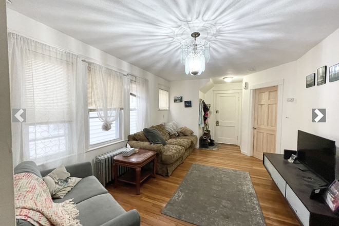 living room - Great 3 Bed / 1 Bath available 9/1/24! Pet friendly! Apartments