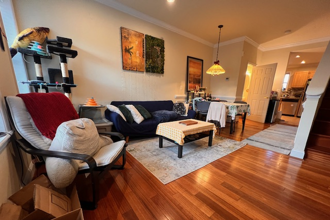 Living Room - Furnished Room in Patterson Park/Butcher's Hill, 15min walk to med campus House