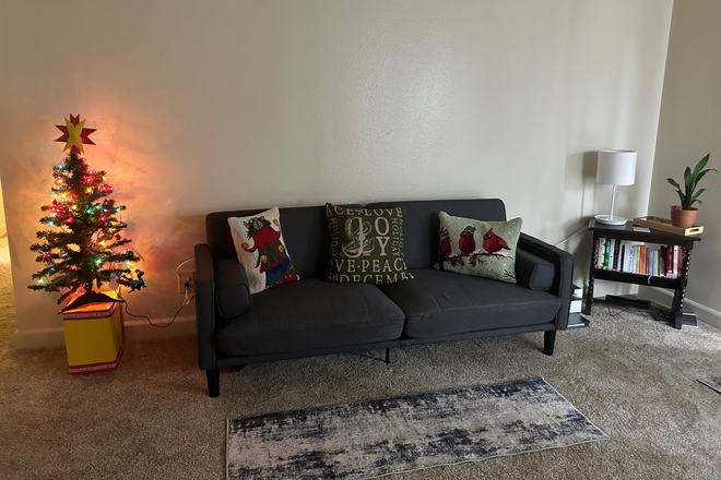 Living room - Looking for one grad student girl to share an apartment