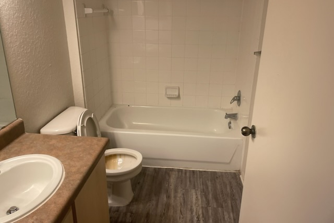 Bathroom A - 1 Female 2x2 Unit Available at The Pointe at Central Apartments