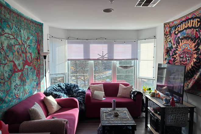 Living room. - South Campus Commons 7 Apartments