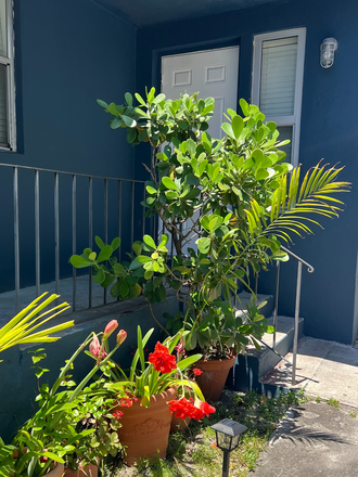 Front entrance - Little Havana, triplex (back unit) Private parking and patio 1635