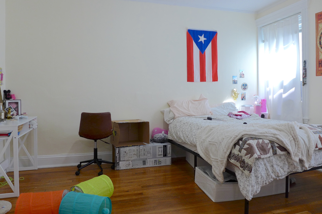 bostonrealtyonline.com - Sunny Studio with Big Personality near Longwood Apartments