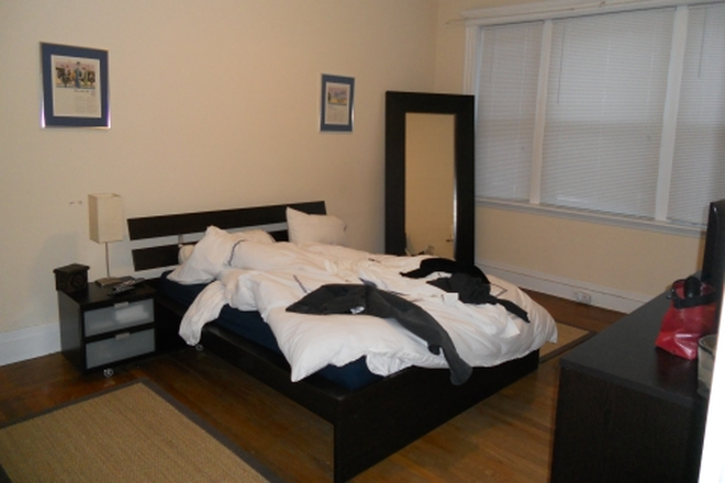 Photo - 25 Euston St Apartments