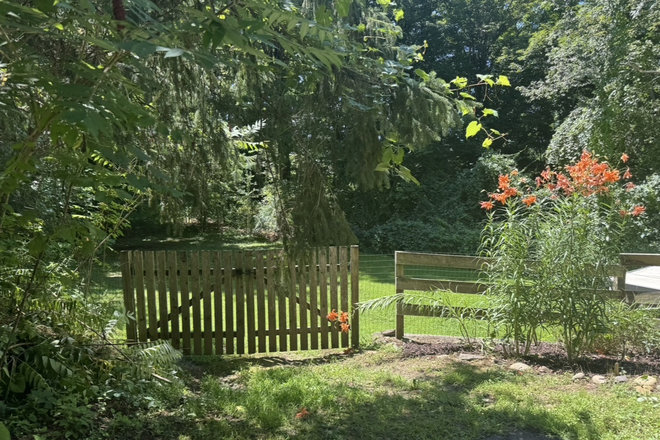 private fenced in yard - Newly upgraded 2+ bedroom apartment - close to UMass