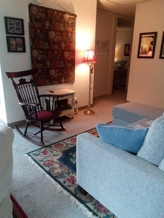 Living Room - Rent-free private bedroom in exchange for some help. Flexible move-in date, month-to-month.. Apartments