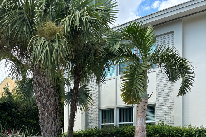 Outside - Downtown Coral Gables Remodeled Apt