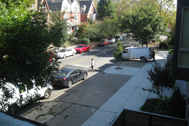 Cedar Avenue- Tree lined street - Classic and upgraded apartment in convenient University City.  Rent includes most uti