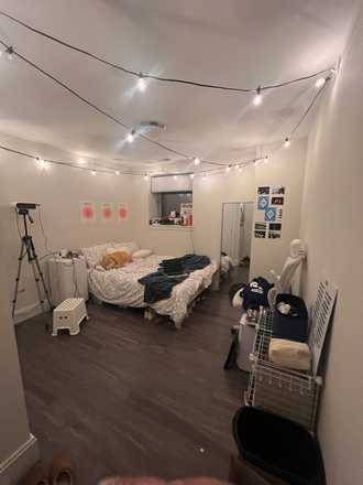 Bedroom - looking for summer sublet!! (+ option to take over lease) Apartments