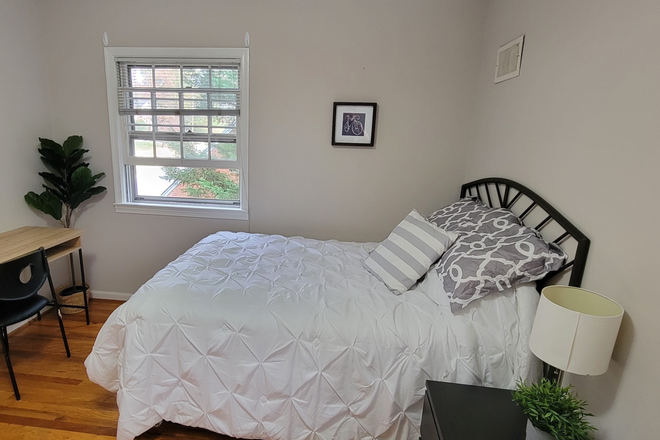 Photo - Shared House Roommate -  current co-ed Grad student /young professional  - Available May