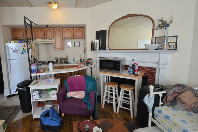 Living room - NO BROKER FEE- BEAUTIFUL 1 BED ON MARLBOROUGH ST AVAIL 9/1/25