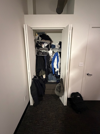 Bedroom Closet - Females! Summer Sublease! 0.2miles away from UIC East Campus! 800ft from Blue Line! 1Bed 1Bath Apartments