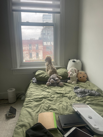 This is my dog looking out my bedroom window. Please contact me and I can give you more photos. - 1 bedroom in a 2 bedroom, 1 bath apartment