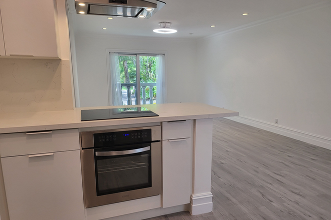 Brand new cooktop and convection oven - Newly rennovated modern 1/1 across the street from UM