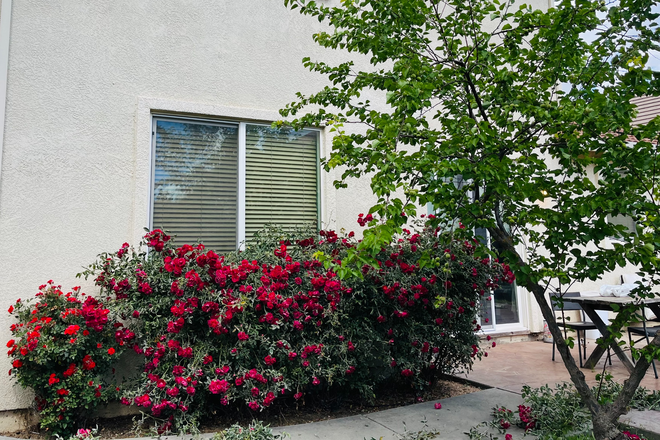 backyard - Master Bedroom & room for UCM Female Students – walking to CatTrack,  about 2 Miles from Campus House