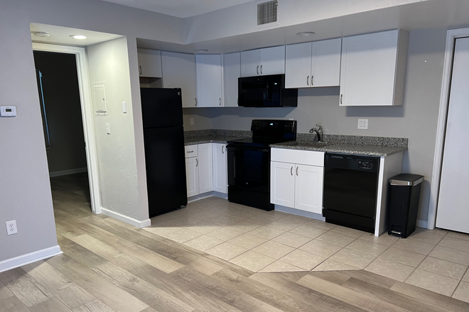 Kitchen - Rare Find! Newly Remodeled! Entire 1 Bedroom Condo Directly Across Broadway from Campus!