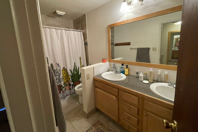 Bathroom (with shower-tub combo) - Regency II