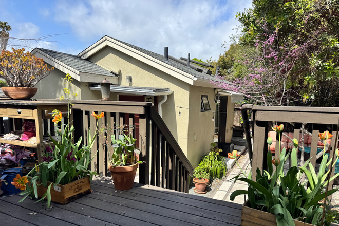 Backyard - .
