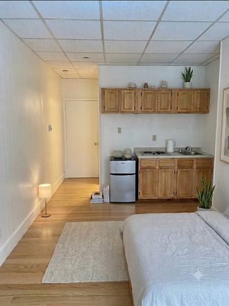 STUDIO - NO BROKER FEE AND JUST PAINTED! BACK BAY UNFURNISHED STUDIO AT 272 NEWBURY ST. AVAILABLE NOW Apartments