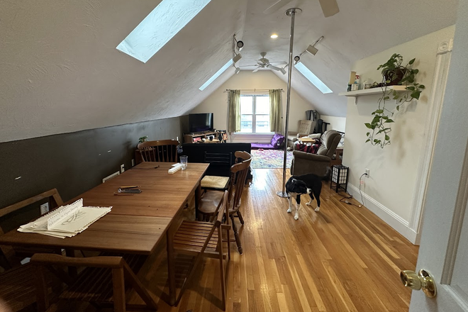 - - No Broker Fee! Close to Campus! 5 bed 2 bath w/ Laundry in Building Apartments