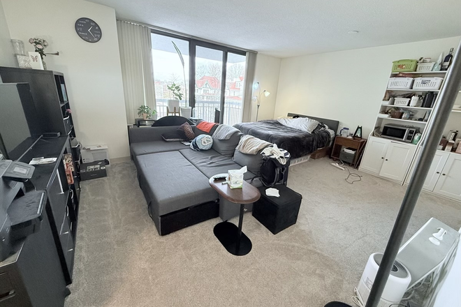Main living area - Coolidge Corner Condo in Luxury Building near Longwood Medical Area and BU Campusl