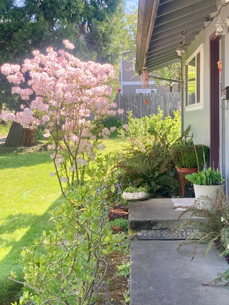 Front Yard - Cozy Furnished Room in a Beautiful University Neighborhood House