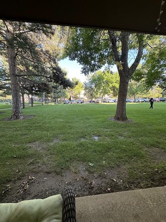 View from Patio - Wimbledon Apartment on Colorado and 30th