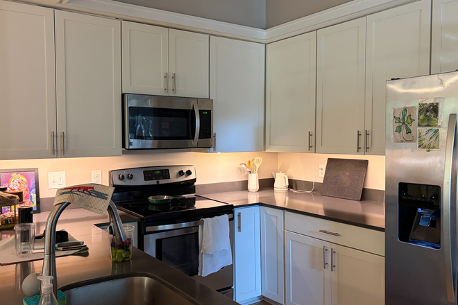 Kitchen (has good lighting options not all turned on here) - Professional Female - Looking to Share Furnished (main areas) Apartment in Heart of Cville/ Quiet