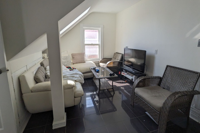 Sunny Living Room with Skylight - Walk to U of T, South Annex Victorian, Sunny 2 Flrs, Loft, 4BR, 2BA, Skylights