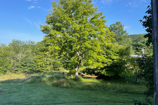 Outdoor hamac - Rooms in beautiful home in South Strafford (Alger Brook Road)