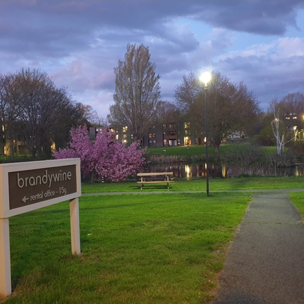 Outside - Brandywine Apartments